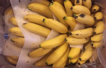 大量のバナナ画像
