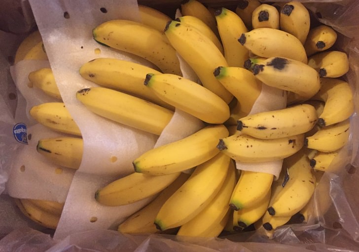 大量のバナナ画像