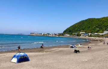 葉山町【2023年】各海水浴場の海開きの日程が決定！【7月1日（土）です！】