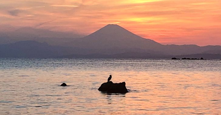 富士山と夕焼けと鳥